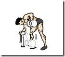 dumbbell rows