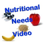 NutritionalNeeds