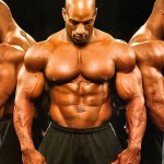 catabolism