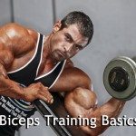 Basic Biceps Training