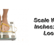 scale-inches