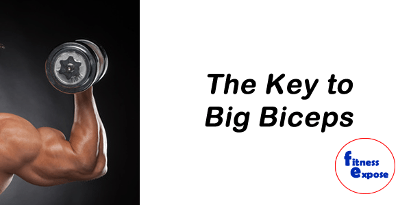 key-big-biceps