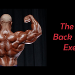back-training-exercises