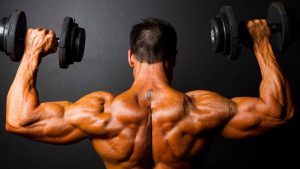 rear view of bodybuilder training with dumbbells on black background