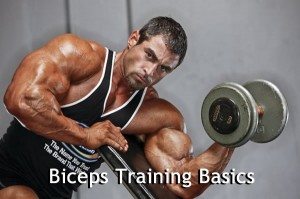Basic Biceps Training