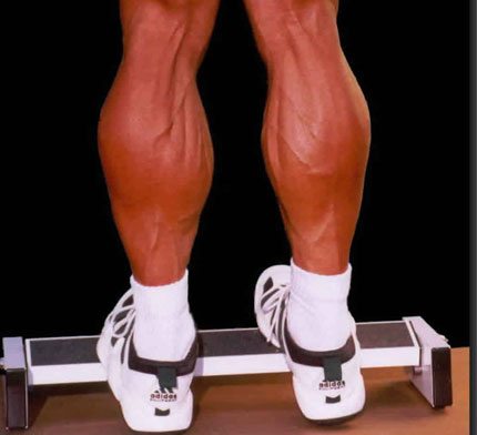 Calf body weight exercises hot sale