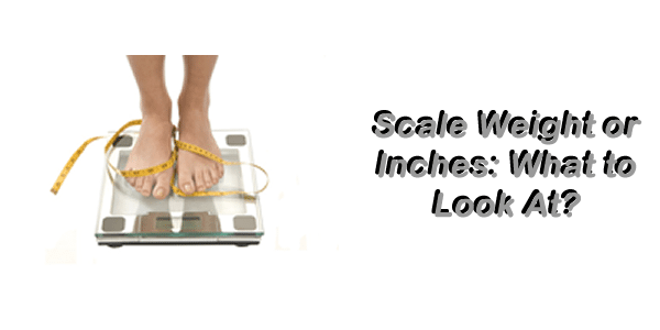 scale-inches