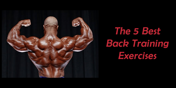 back-training-exercises
