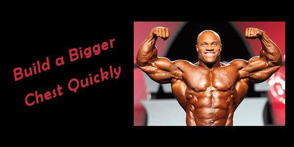 build-bigger-chest